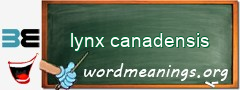 WordMeaning blackboard for lynx canadensis